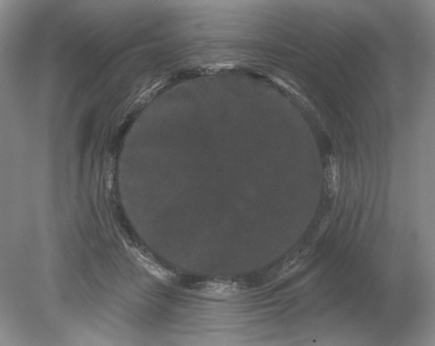 X0000079290458200612011728