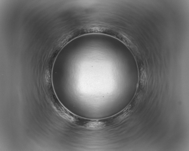 X0000079290459200612011728
