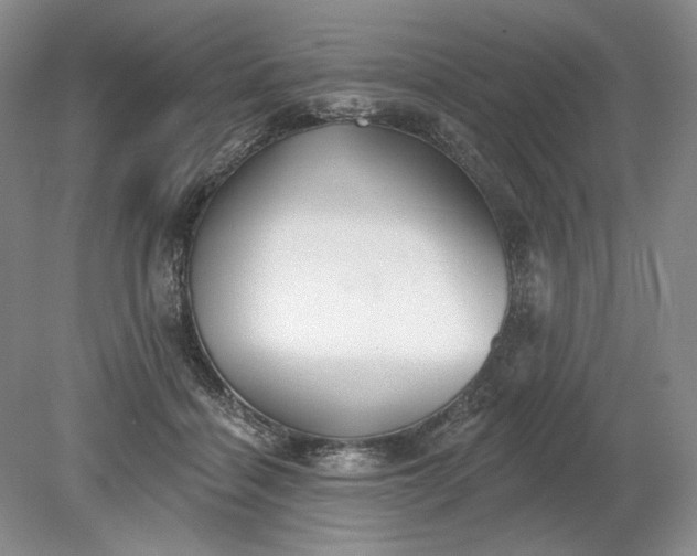 X0000079290460200612011728