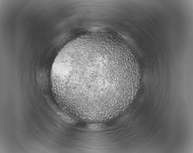 X0000079290461200612011728