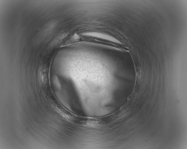 X0000079290462200612011728