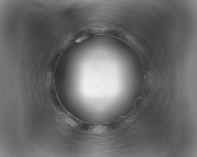 X0000079290463200612011728