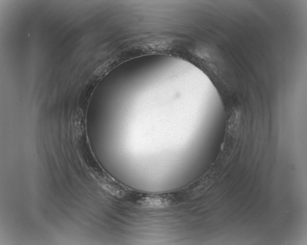 X0000079290464200612011728