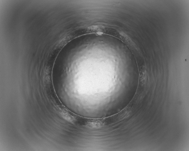 X0000079290466200612011728