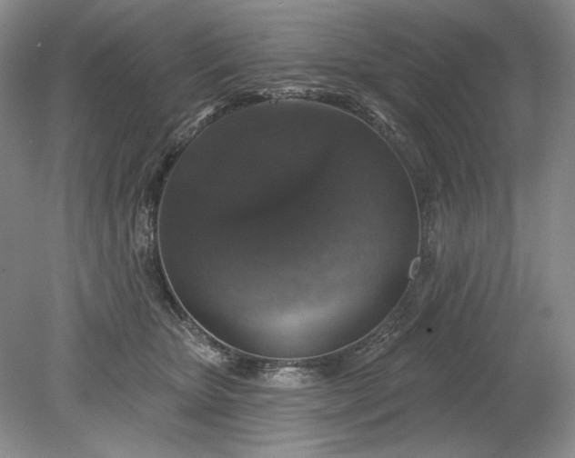 X0000079290467200612011728