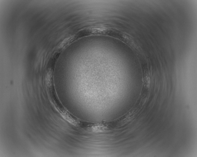 X0000079290468200612011728