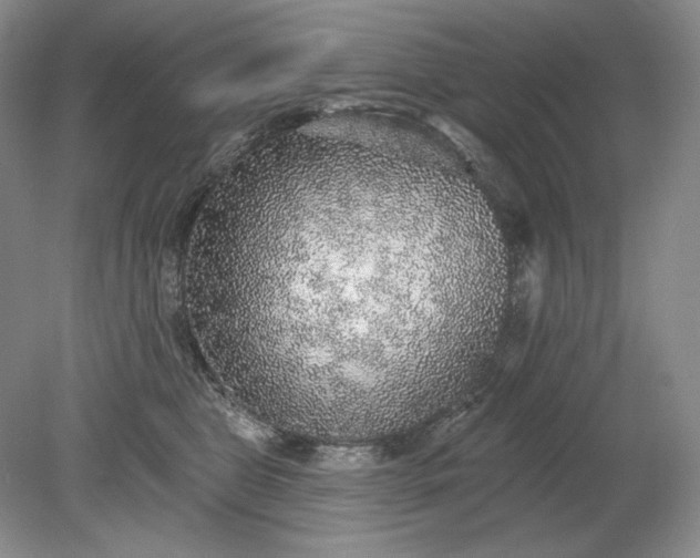 X0000079290469200612011728