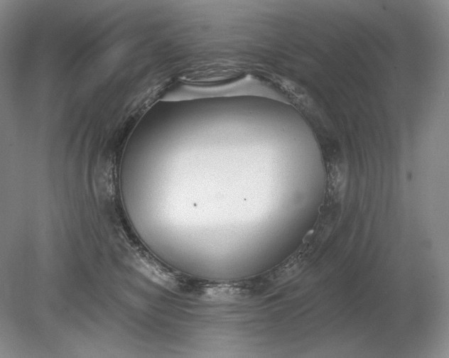 X0000079290470200612011728