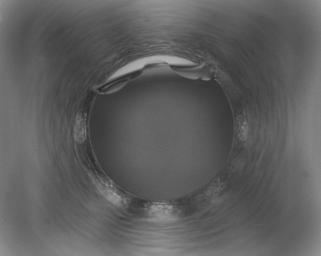 X0000079290471200612011728