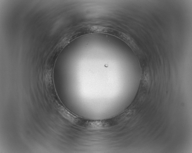 X0000079290473200612011728