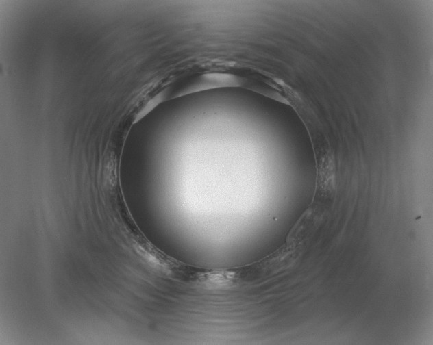 X0000079290474200612011729