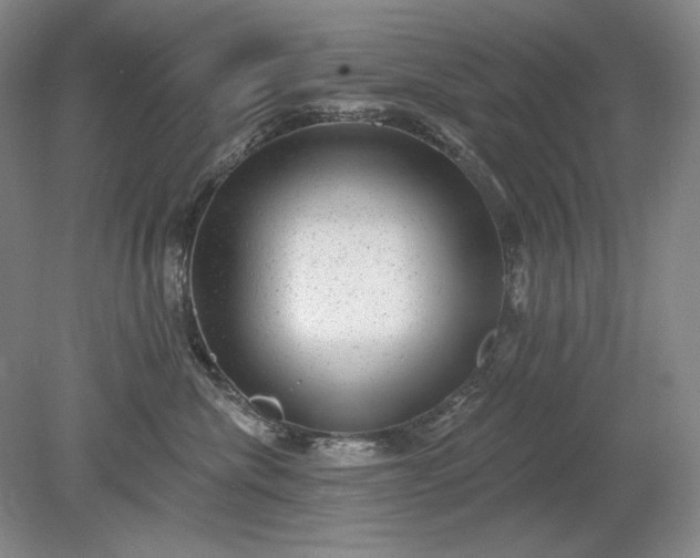 X0000079290476200612011729