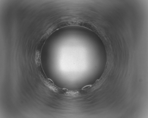 X0000079290480200612011729