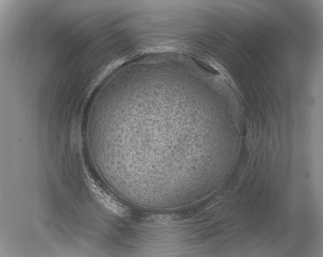 X0000079290482200612011728