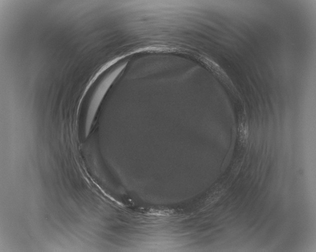 X0000079290484200612011728