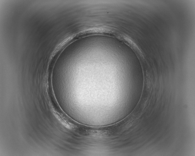 X0000079290486200612011728