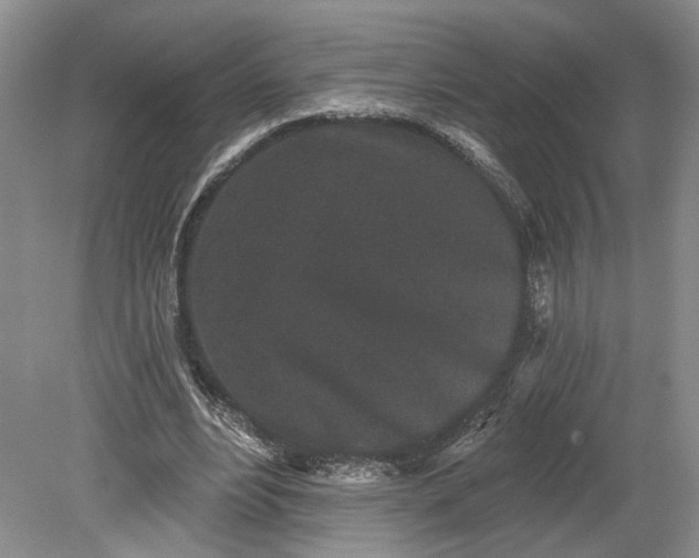 X0000079290488200612011728
