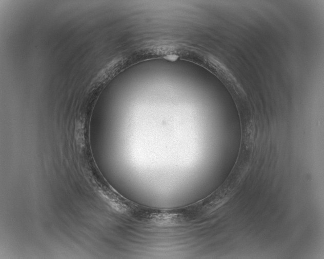 X0000079290497200612011728