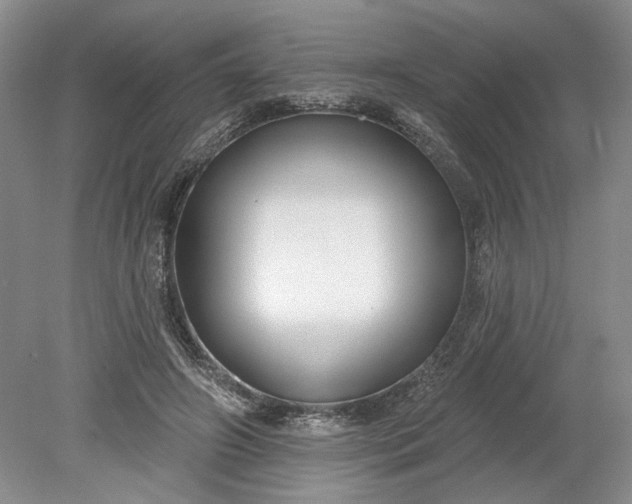 X0000079290498200612011728