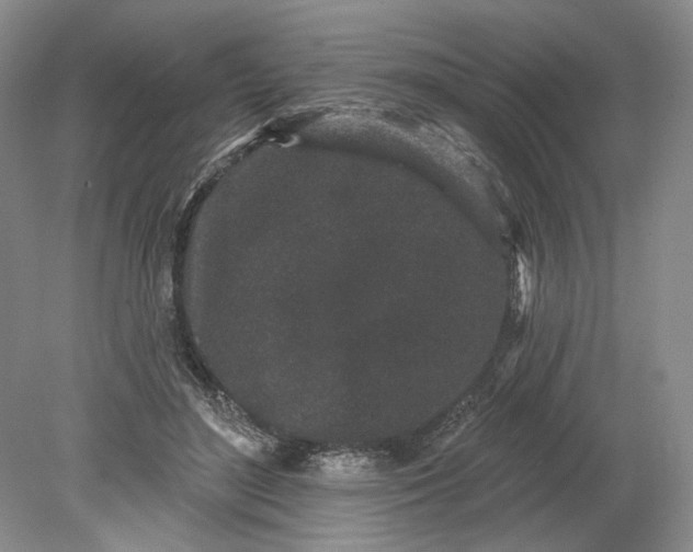 X0000079290500200612011727