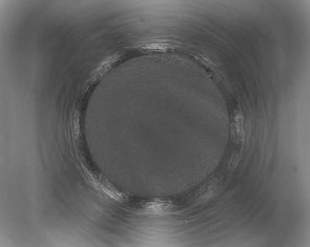 X0000079290504200612011727
