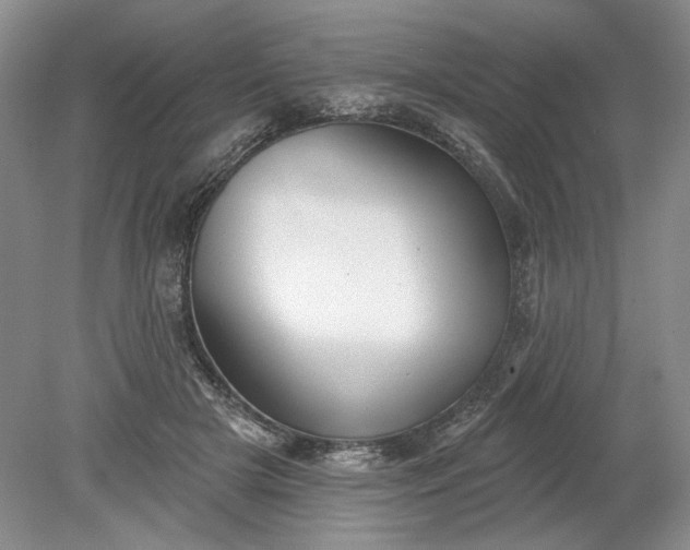 X0000079290505200612011727