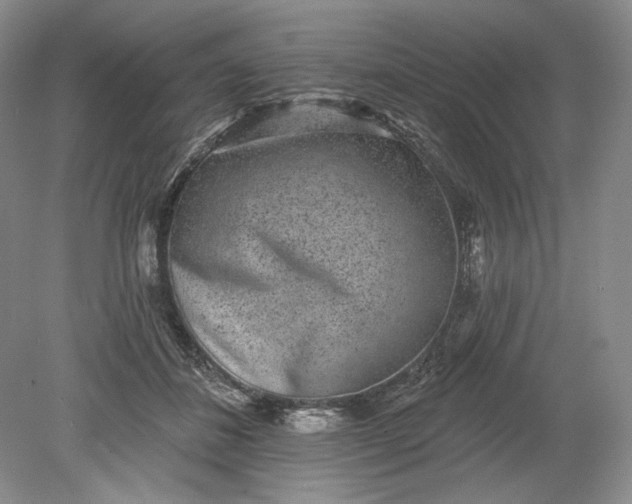 X0000079290508200612011727