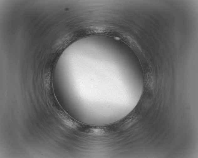 X0000079290509200612011727