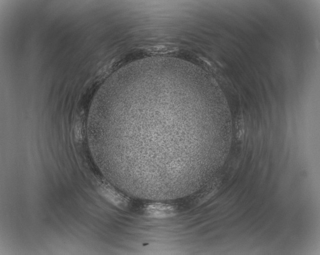 X0000079290515200612011727