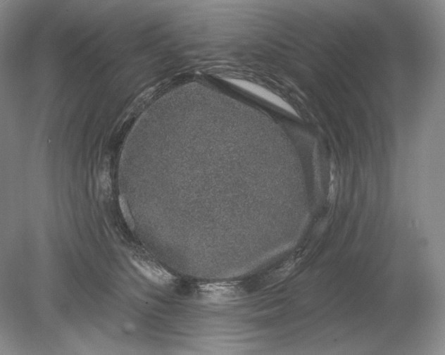X0000079290516200612011727