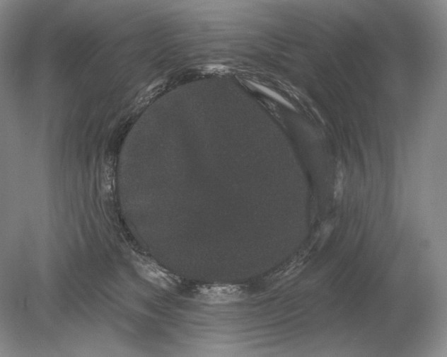 X0000079290517200612011727