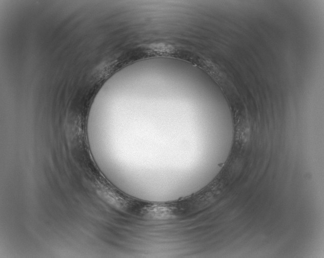 X0000079290518200612011727