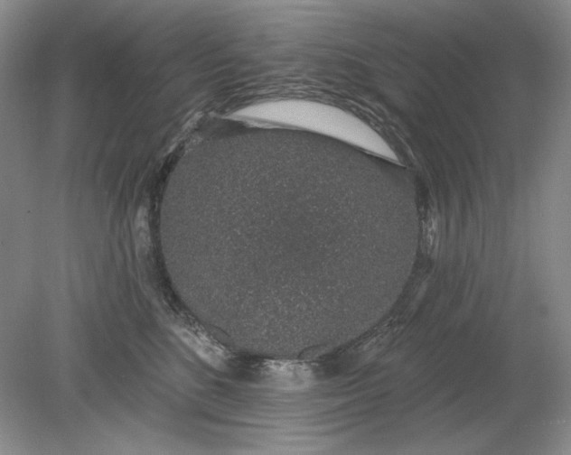 X0000079290520200612011727