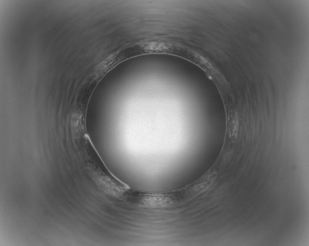 X0000079290521200612011727