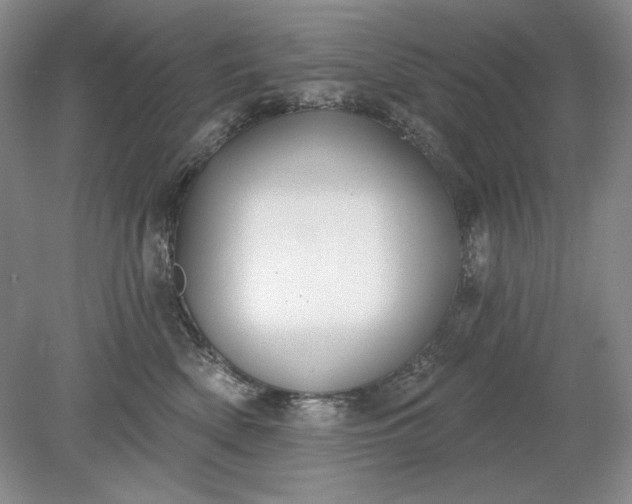 X0000079290522200612011727