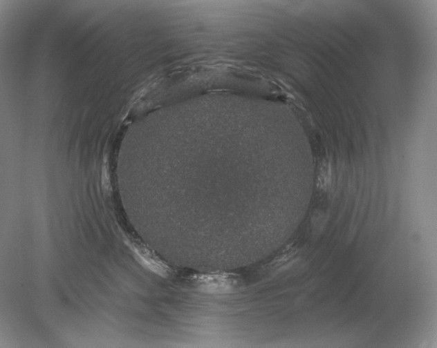 X0000079290524200612011727