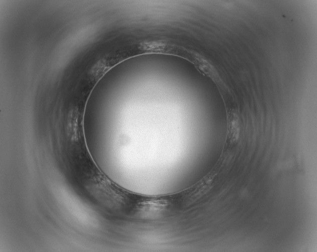 X0000079290525200612011727