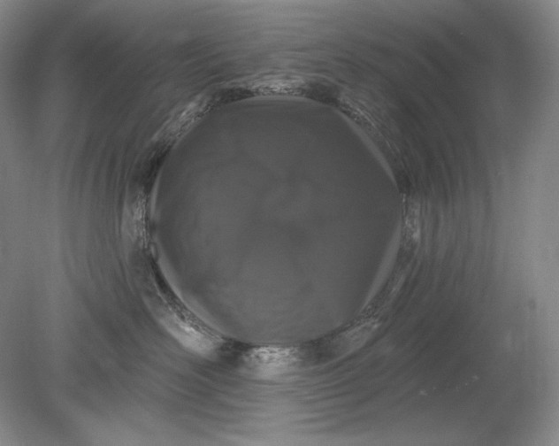 X0000079290526200612011727
