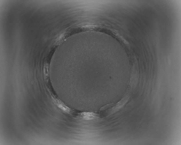 X0000079290528200612011727