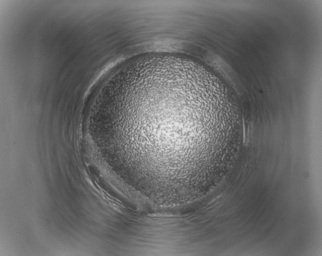 X0000079290531200612011726