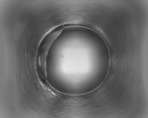 X0000079290532200612011726