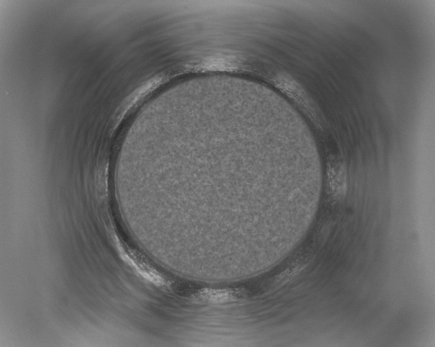 X0000079290534200612011726
