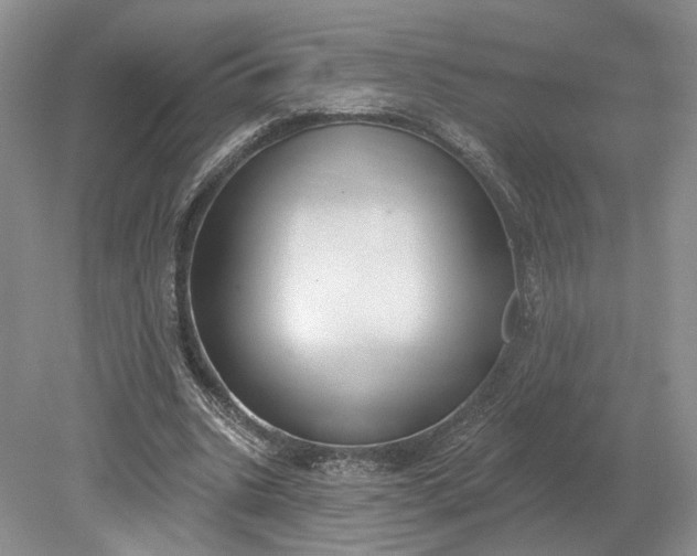 X0000079290535200612011726