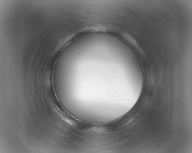 X0000079290537200612011726