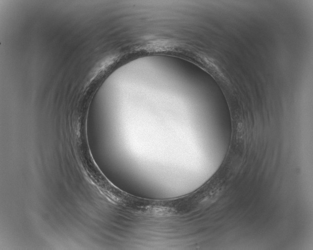 X0000079290539200612011726