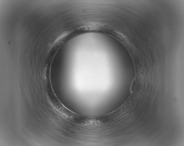 X0000079290543200612011726
