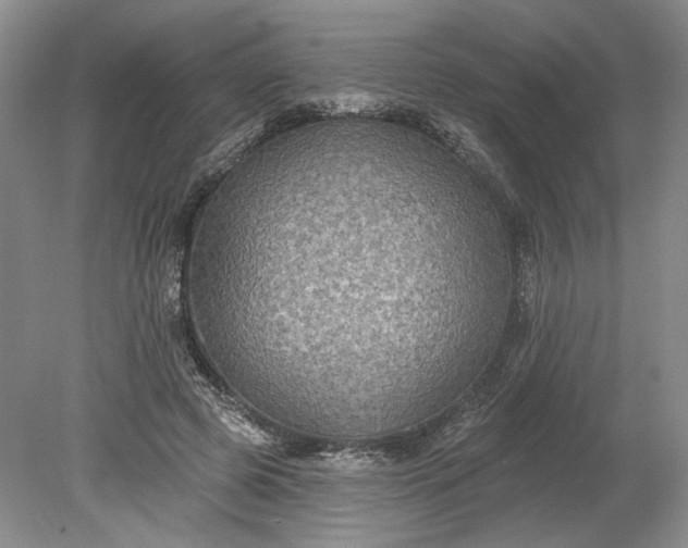 X0000079290545200612011726