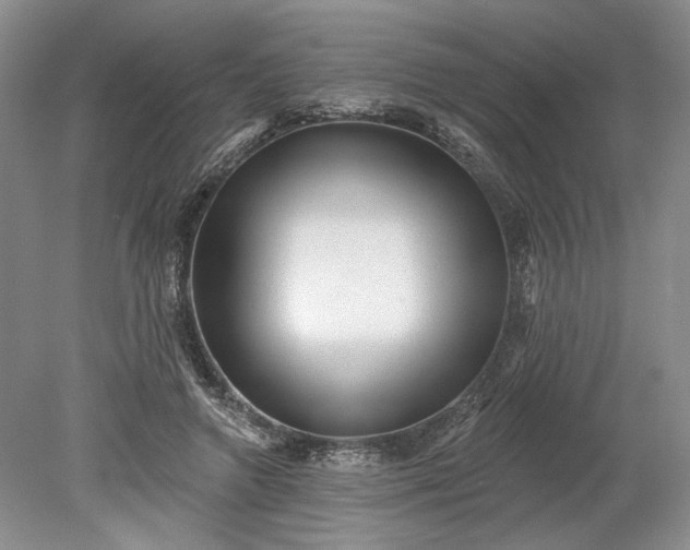 X0000079290546200612011726