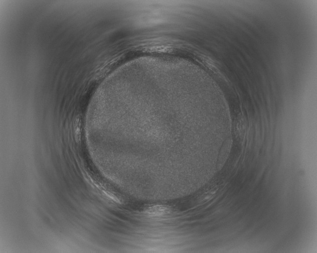 X0000079290551200612011727