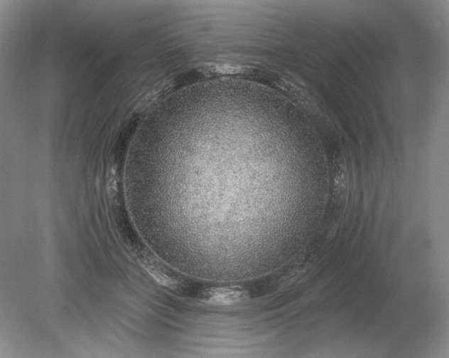 X0000079290555200612011727